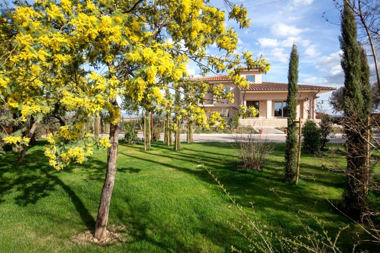 Villa Spaccasole Su Cortona Foiano Della Chiana Εξωτερικό φωτογραφία